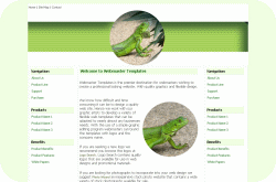 Green Iguana Template