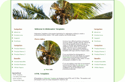 Coconut Palm Template