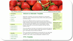 Fresh Strawberries Template