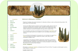 Cactus Template