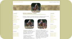Horse Show Jumping Template