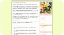 Pink Lily Blossoms Template
