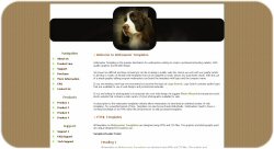 Springer Spaniel Dog Template