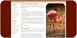 Flamingo Drinking Template