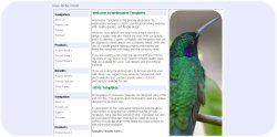 Green Hummingbird Template
