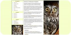 Owl Template