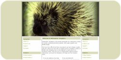 Prickly Porcupine Template