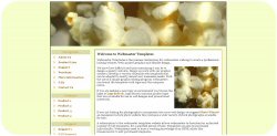 Popcorn Template