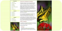 Yellow Swallowtail Template