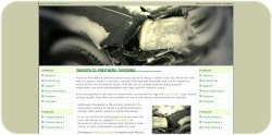 Motor Vehicle Accident Template