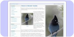 Bird Web Template