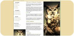Owl on a Perch Web Template