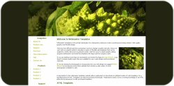 Fractals and Agriculture Web Template