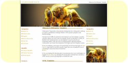 Wasp Winged Insect Web Template