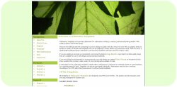 Green Foliage Leaves Web Template
