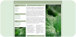 Green Eco Web Template