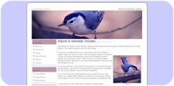 Blue Bird Web Template