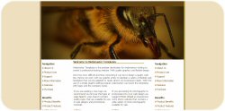 Flying Wasp Web Template