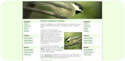 Bird Watching Web Template