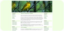 Yellow Bird Web Template