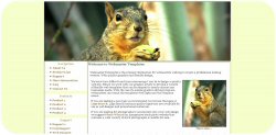 Squirrel Web Template