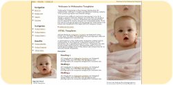 Infant Web Template
