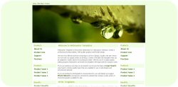 Dripping Drops of Water Web Template