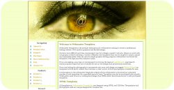 Eye with an At Symbol Web Template