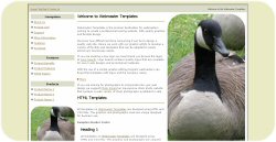 Canadian Geese Web Template