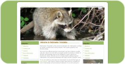 Raccoon Photo Web Layout